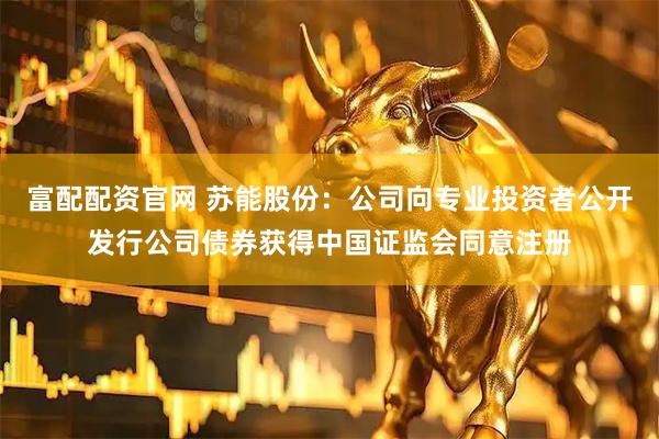 富配配资官网 苏能股份：公司向专业投资者公开发行公司债券获得中国证监会同意注册