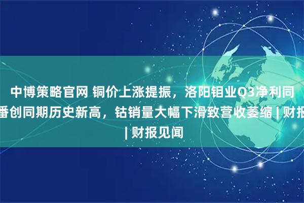 中博策略官网 铜价上涨提振，洛阳钼业Q3净利同比翻番创同期历史新高，钴销量大幅下滑致营收萎缩 | 财报见闻