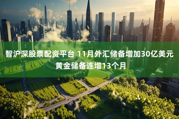 智沪深股票配资平台 11月外汇储备增加30亿美元 黄金储备连增13个月